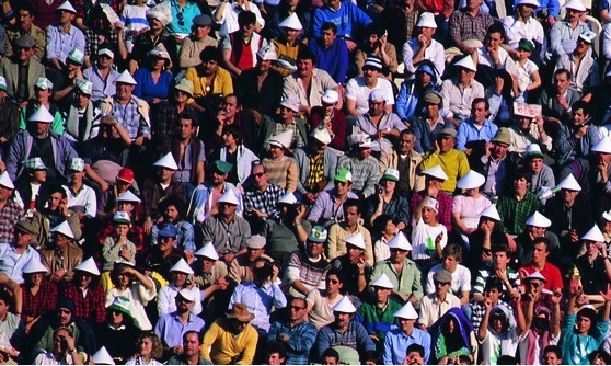 兼職平臺 口袋兼職 兼職貓